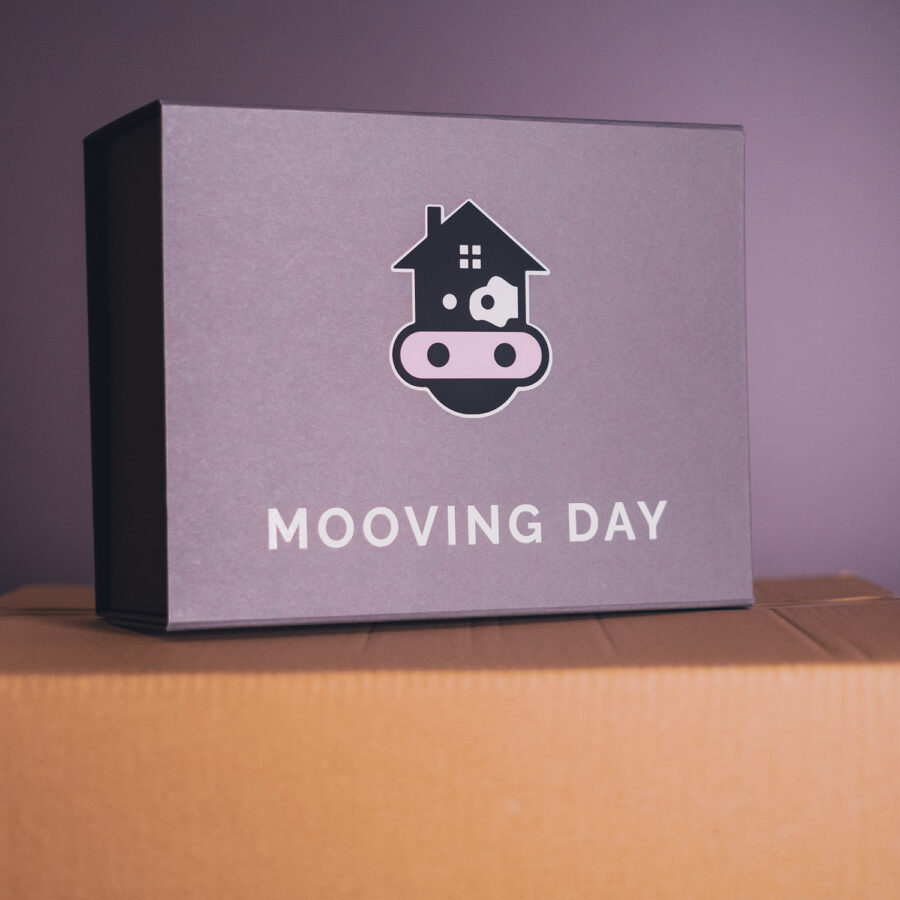 Empty Mooving Day New Home BOX